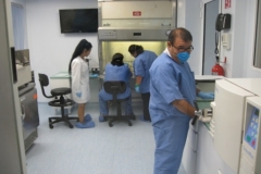 Picture8